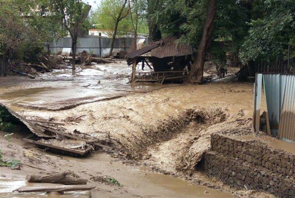 В Кашкадарье сель затопил свыше сотни домов, смыл 12 мостов